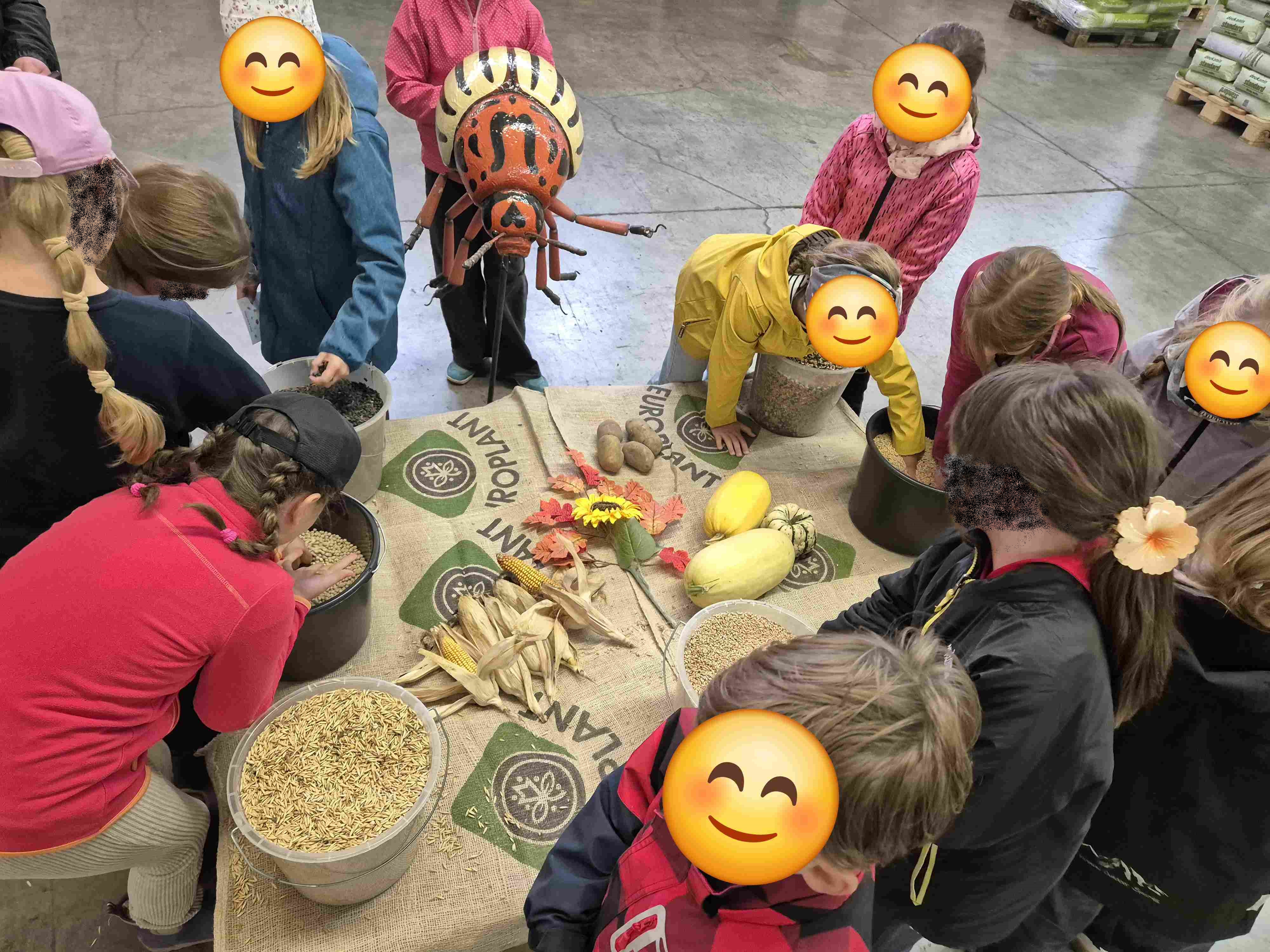 Kartoffelhof_2.jpg